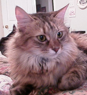 Chloe