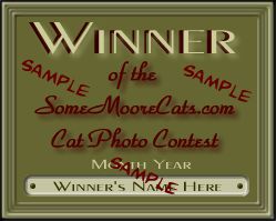 Cat Photo Contest Sample Award Graphic