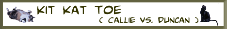 SomeMooreCats.com - Kit Kat Toe