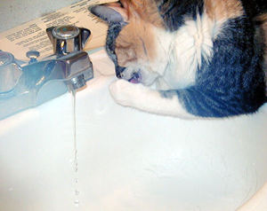 water3