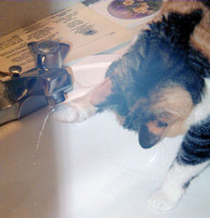water7