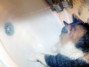 water8